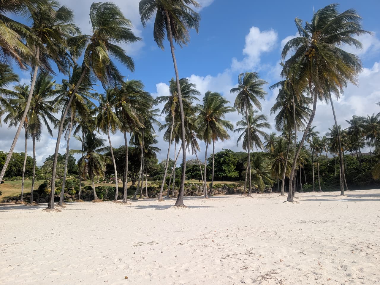 Palm-lined white sand beach, Diani, Kenya