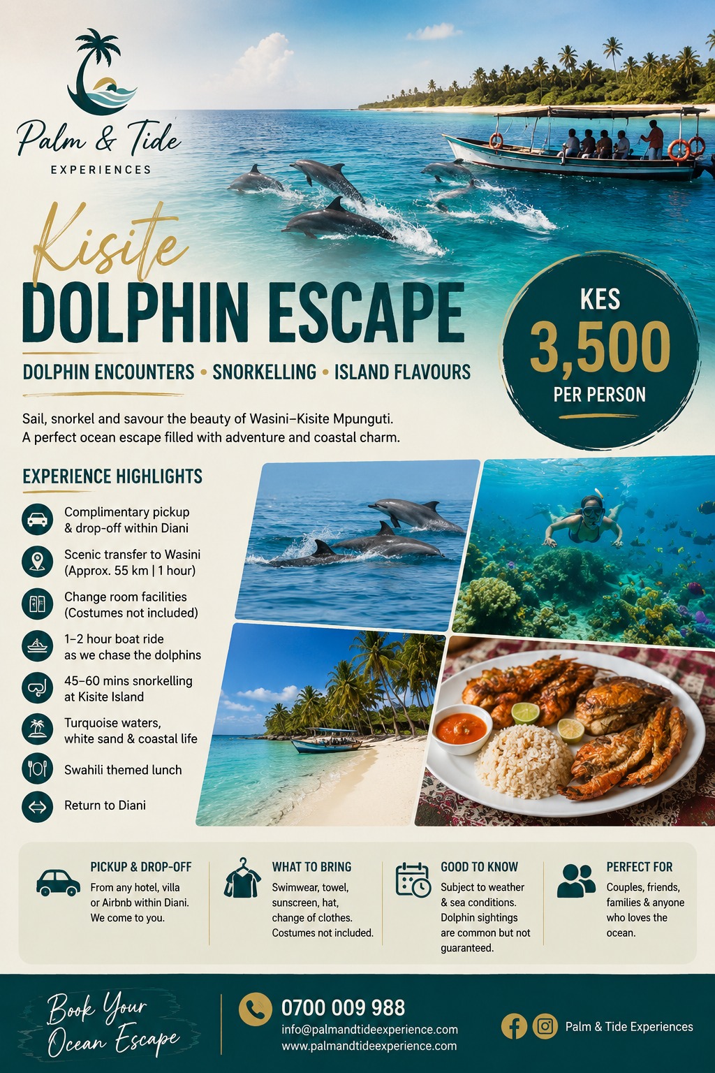 Kisite Dolphin Escape, Wasini, Kenya