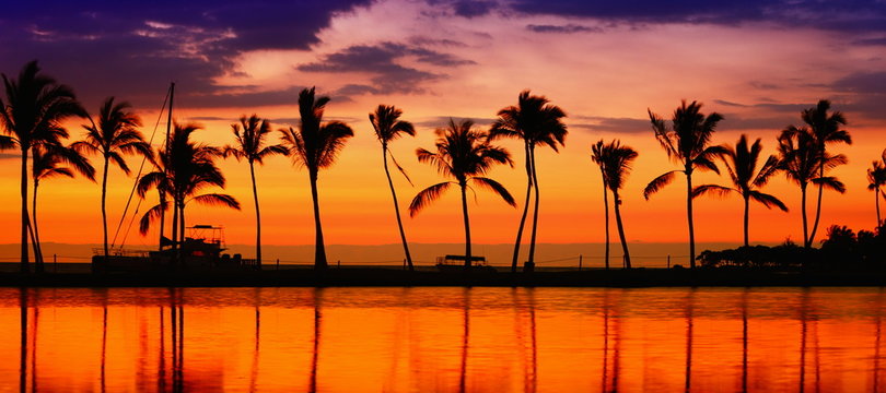 Traditional dhow sailing at sunset off Diani, Kenya